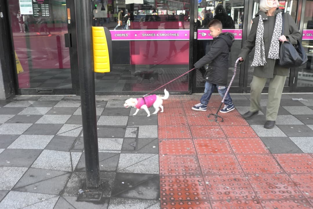 Photo of a boy walking a dog and a lady looking up at a building